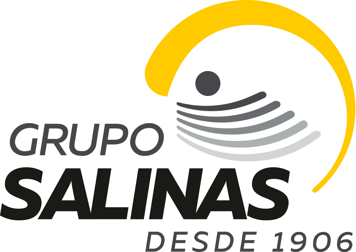 Logotipo_de_Grupo_Salinas.svg